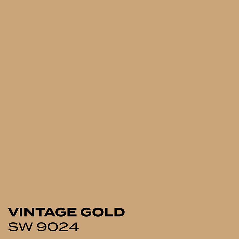 PMV - Blog - Top 10 Whites Alabaster Coordinating Colors 3 Color swatch for Vintage Gold
