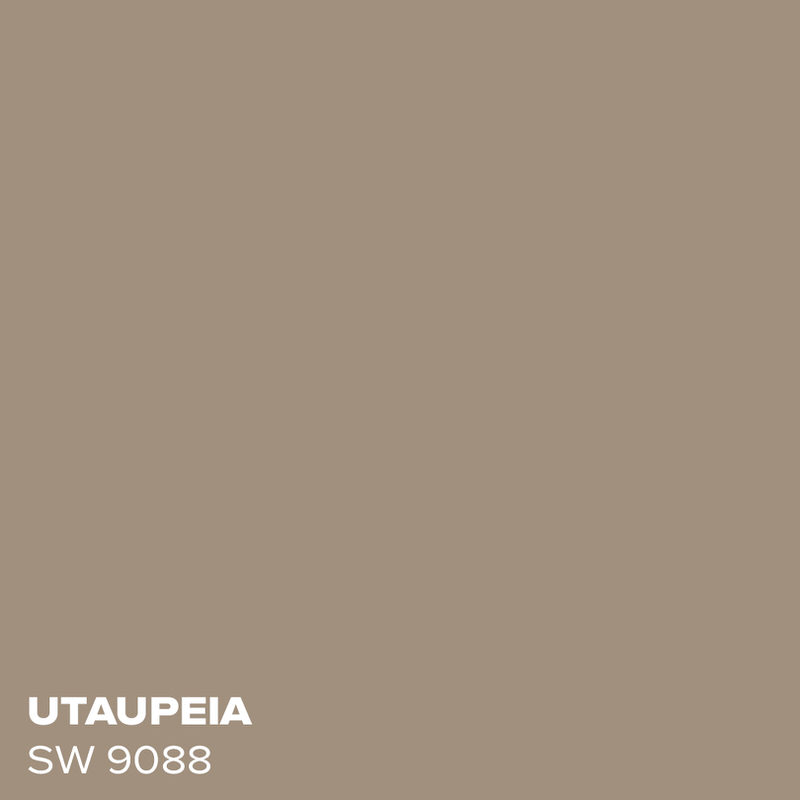 PMV - Blog - Top 10 Green Paint Colors Jasper Coordinating Swatches 3